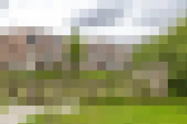 Lunettenhof 9 Groningen thumbnail 7