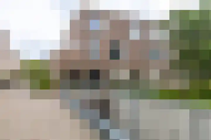 Lunettenhof 9 Groningen thumbnail 8