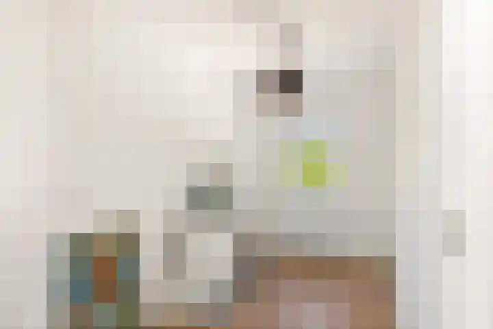 Lunettestraat 20 Zutphen thumbnail 16