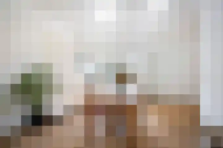 Lunettestraat 20 Zutphen thumbnail 4