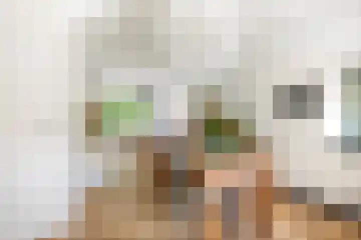 Lunettestraat 20 Zutphen thumbnail 8