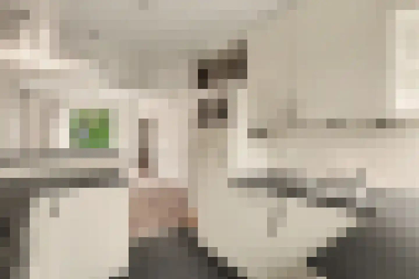 Lunettestraat 22 Zutphen thumbnail 10