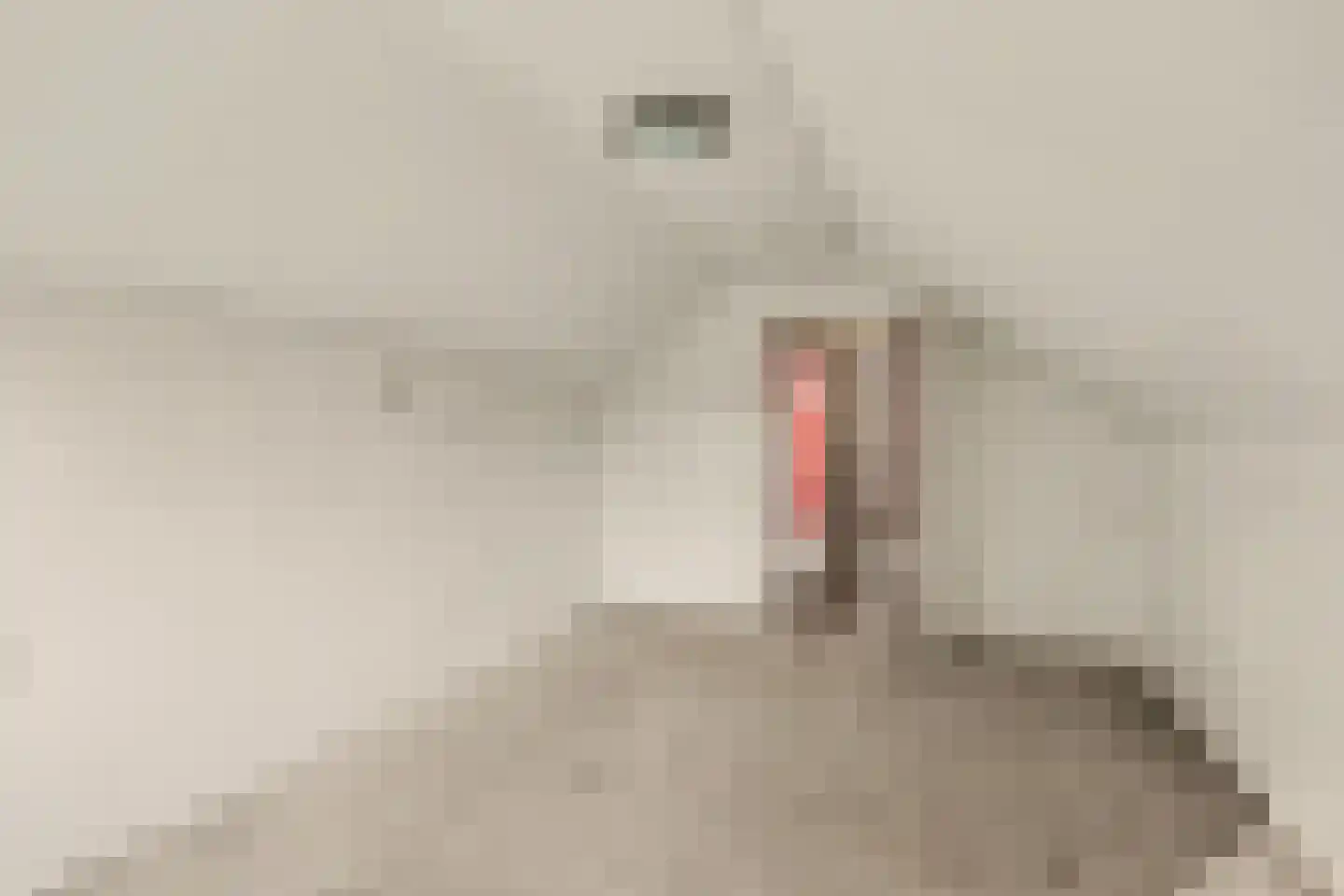 Lunettestraat 22 Zutphen thumbnail 15
