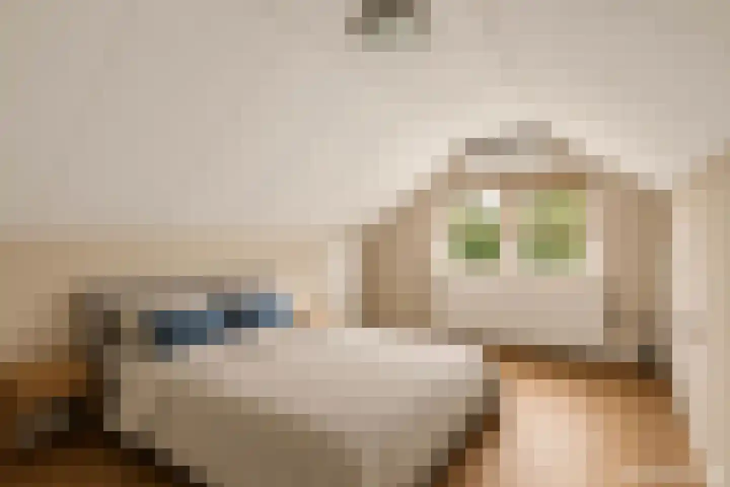 Lunettestraat 22 Zutphen thumbnail 16