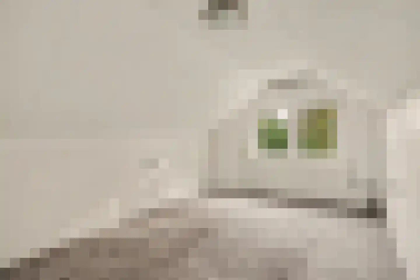 Lunettestraat 22 Zutphen thumbnail 17