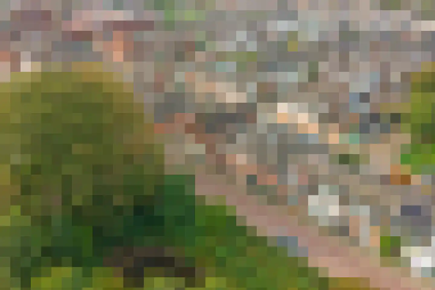 Lunettestraat 22 Zutphen thumbnail 31