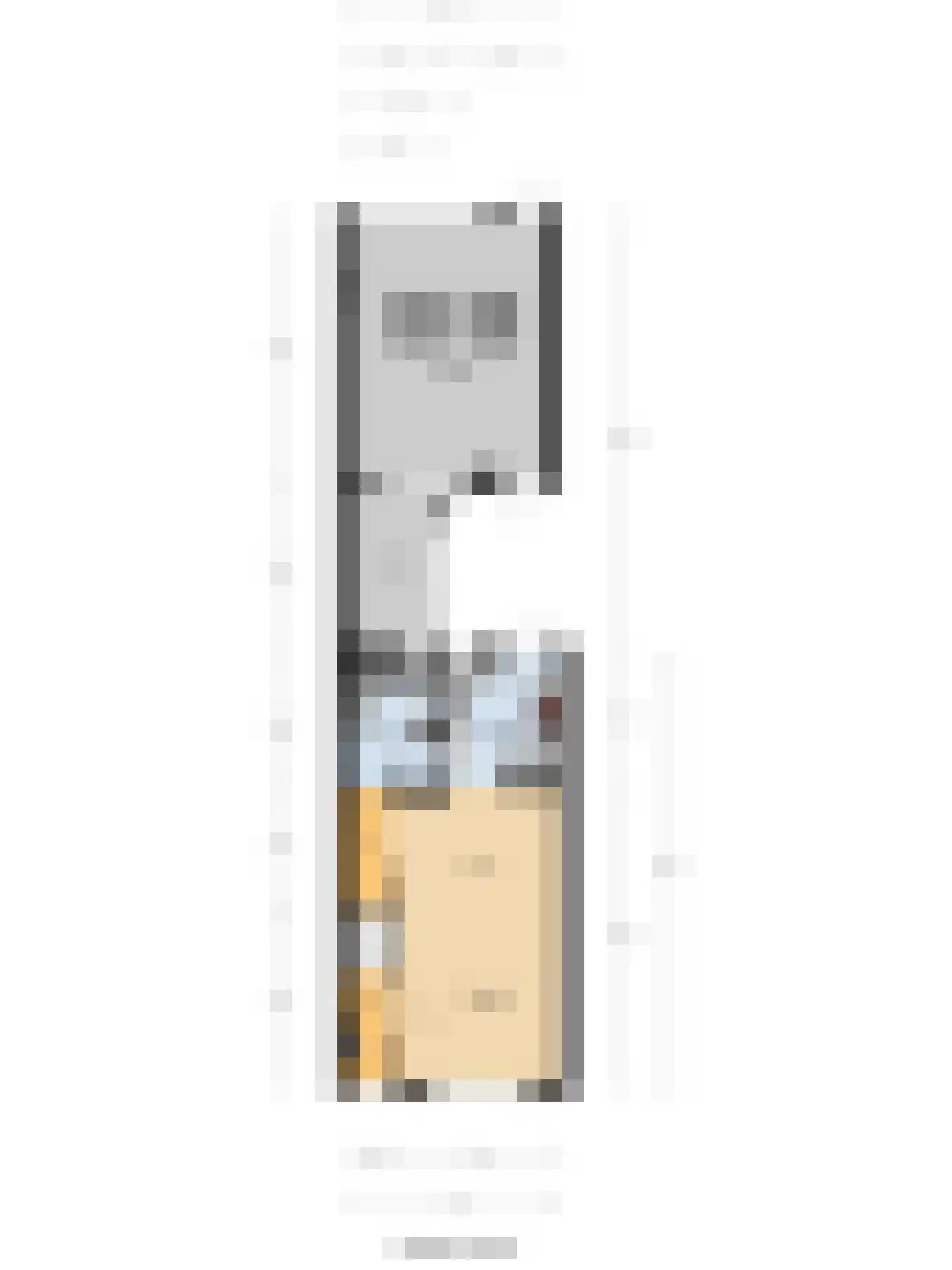 Lunettestraat 22 Zutphen thumbnail 34