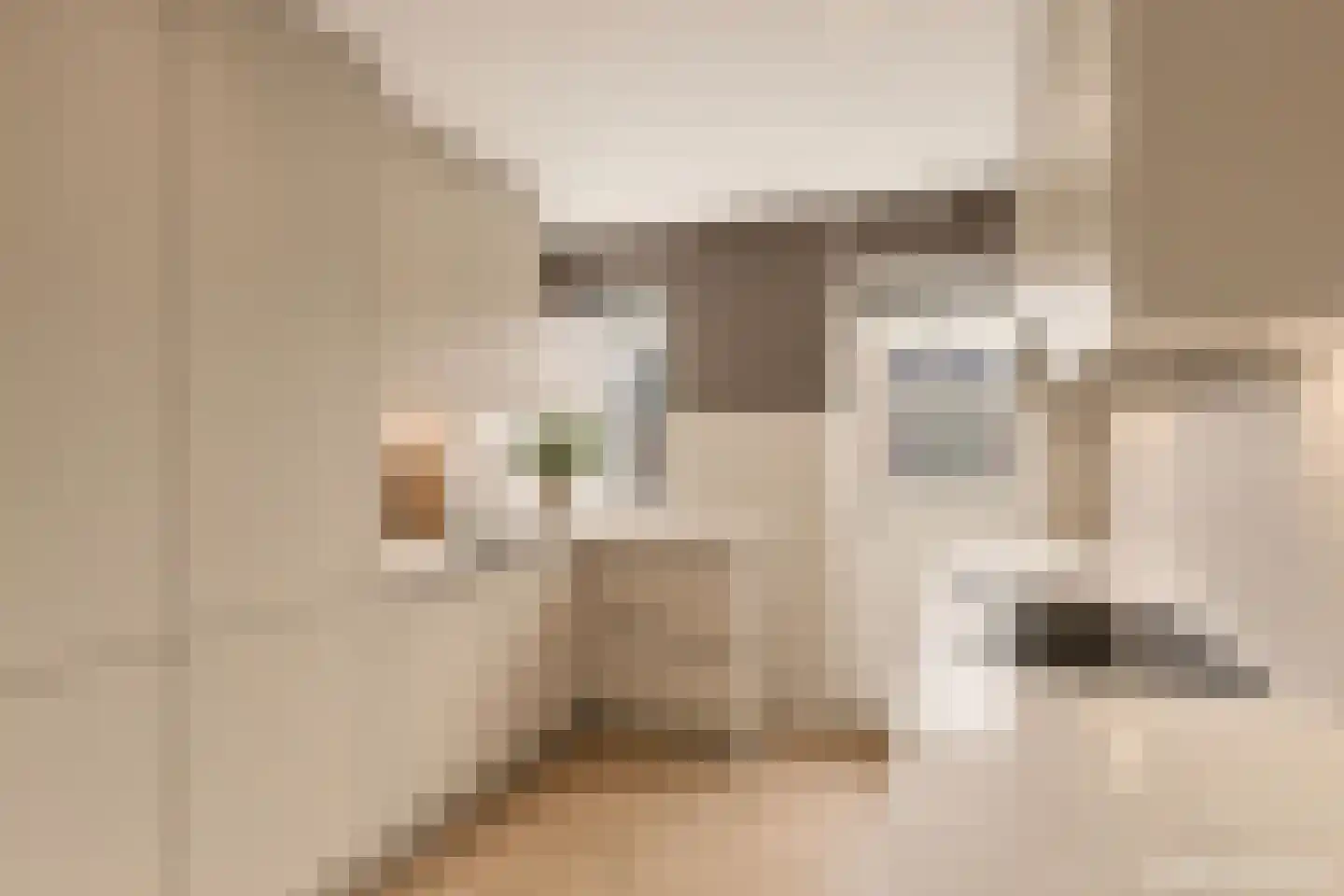 Lunettestraat 22 Zutphen thumbnail 8