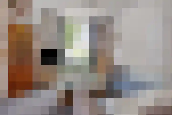 Lunettestraat 26 Zutphen thumbnail 8