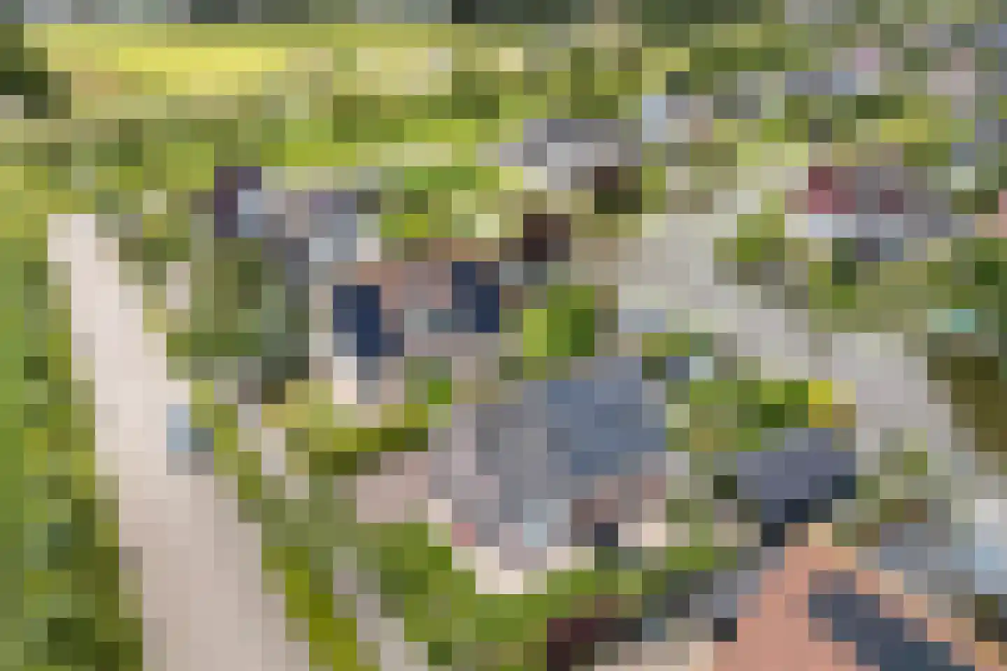 Luniastate 23 Hallum thumbnail 42