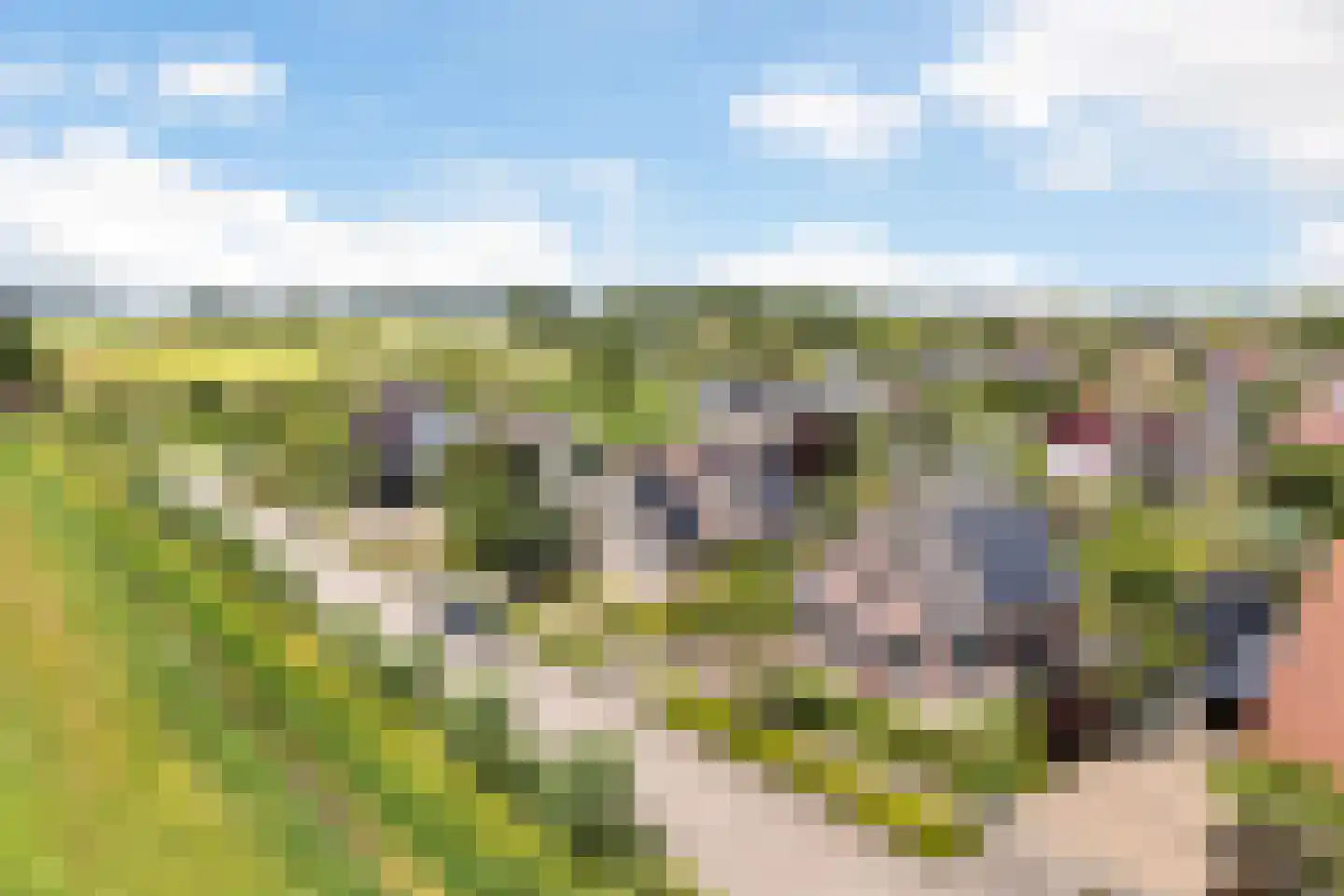 Luniastate 23 Hallum thumbnail 43