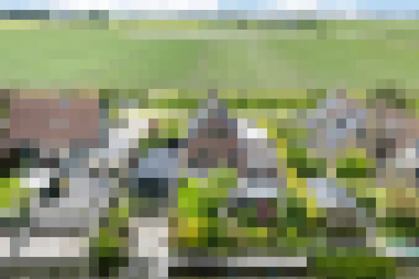 Luniastate 23 Hallum thumbnail 49