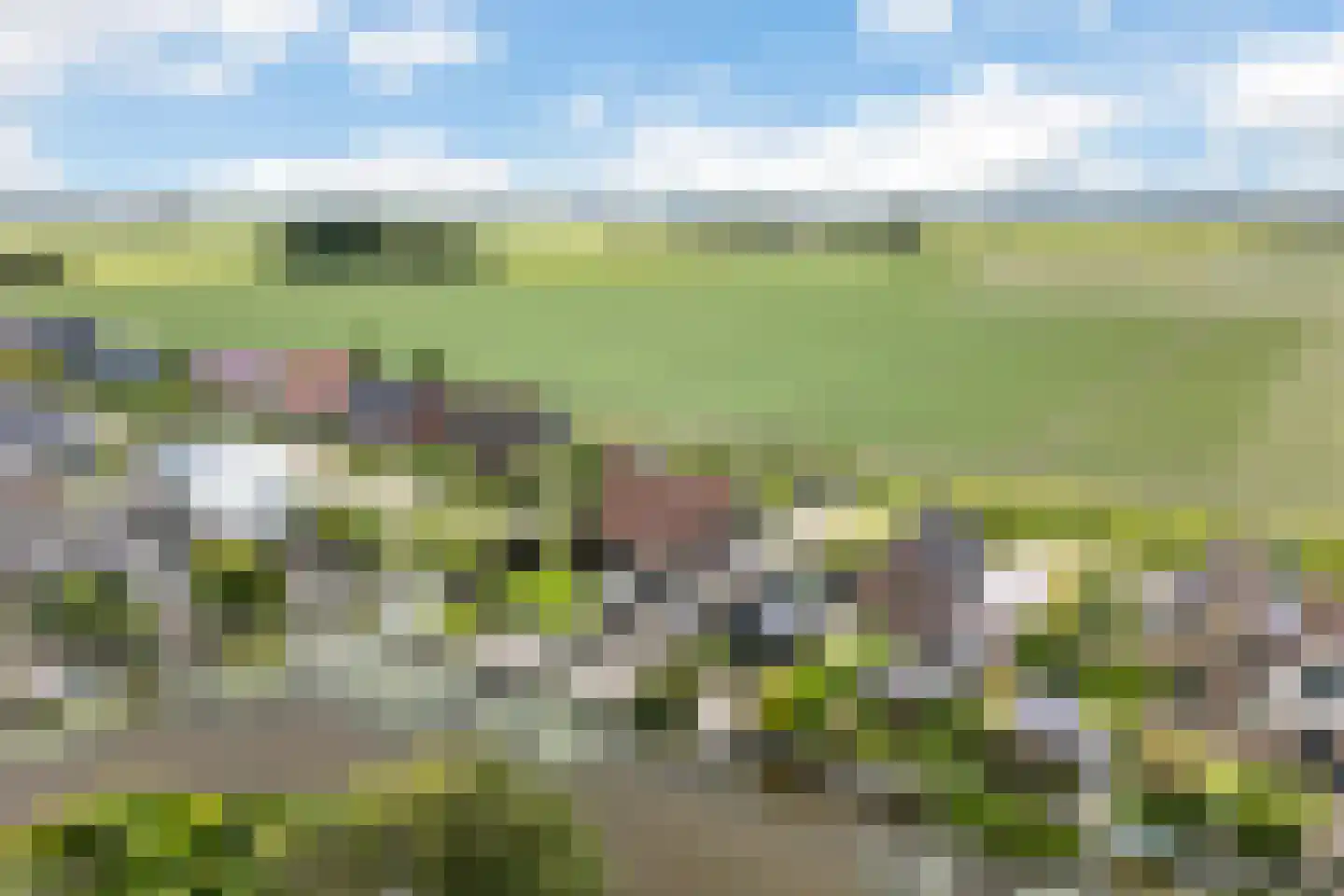 Luniastate 23 Hallum thumbnail 51
