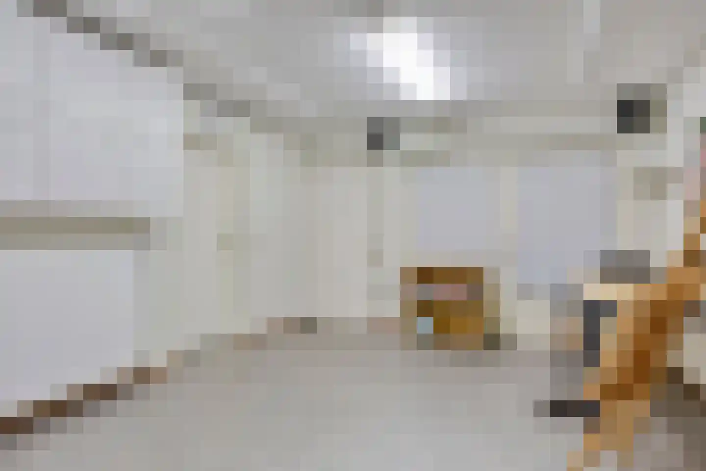Lunterenstraat 10 Tilburg thumbnail 18