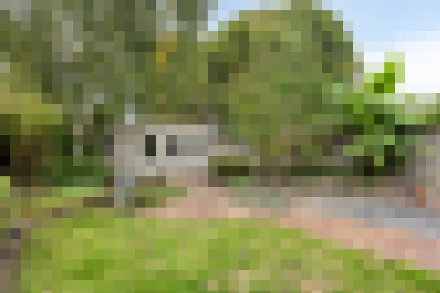 Lunterenstraat 10 Tilburg thumbnail 31
