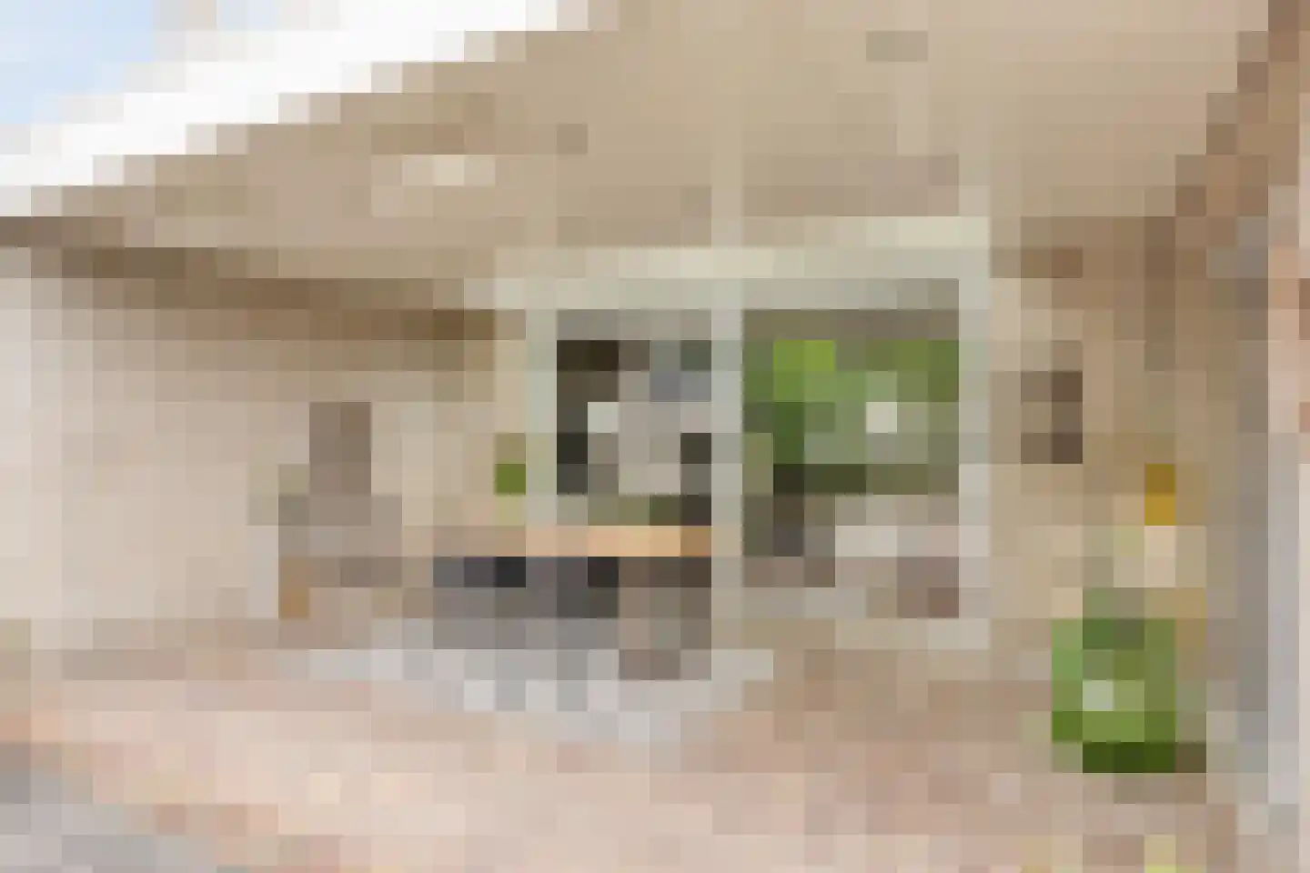 Lunterenstraat 10 Tilburg thumbnail 4