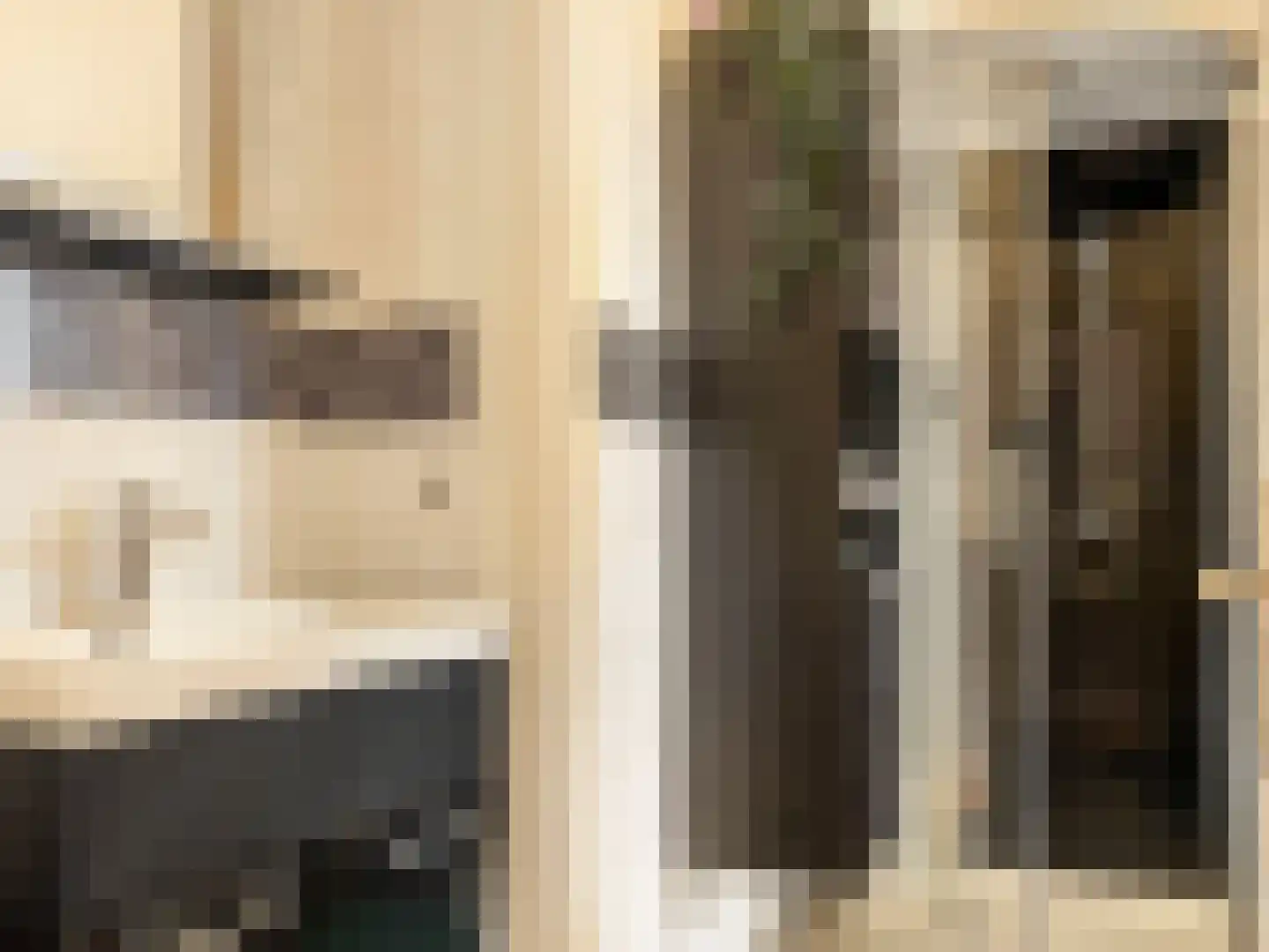 Lunterenstraat 102 Den Haag thumbnail 5