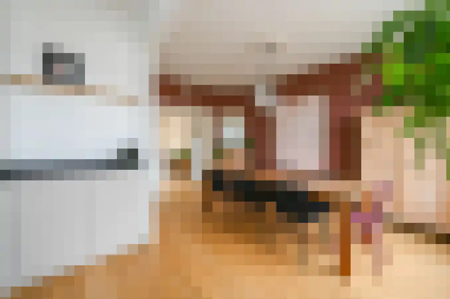 Lunterenstraat 147 Den Haag thumbnail 12