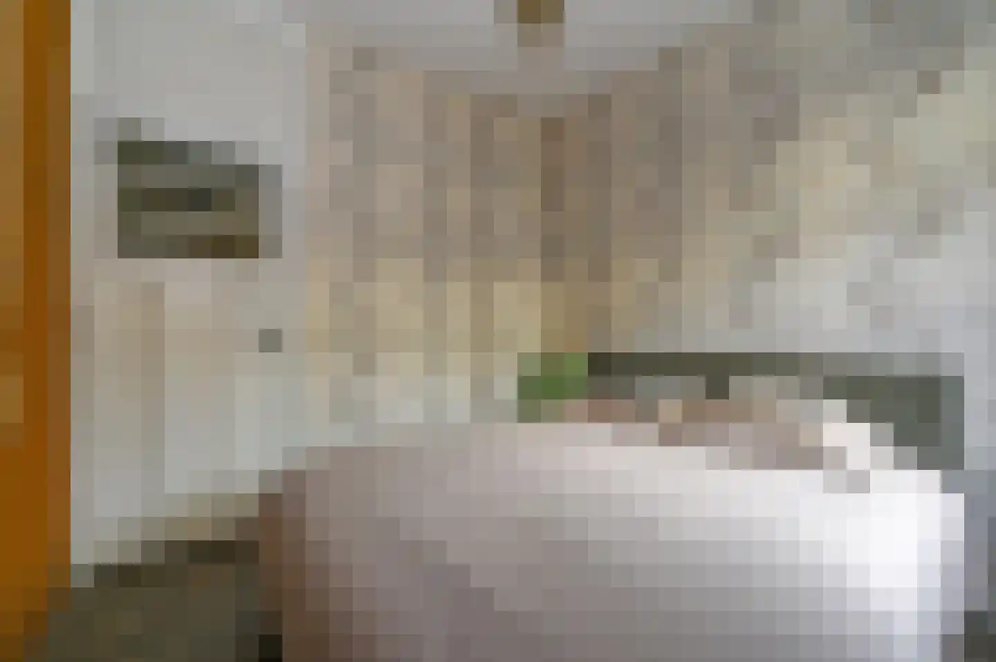 Lunterenstraat 147 Den Haag thumbnail 16