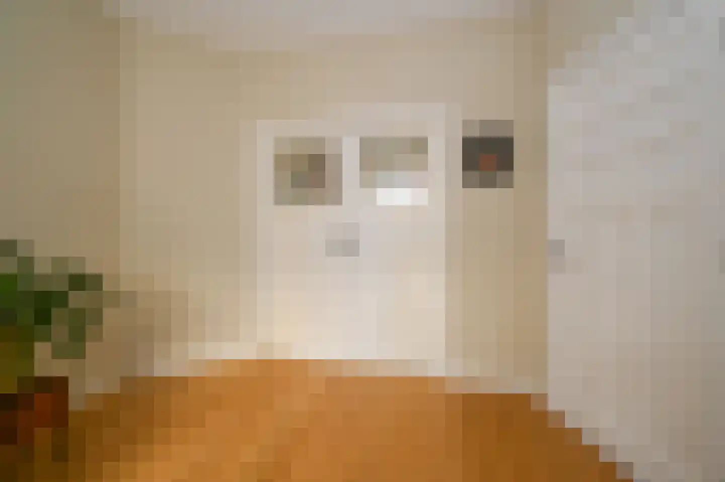 Lunterenstraat 147 Den Haag thumbnail 4