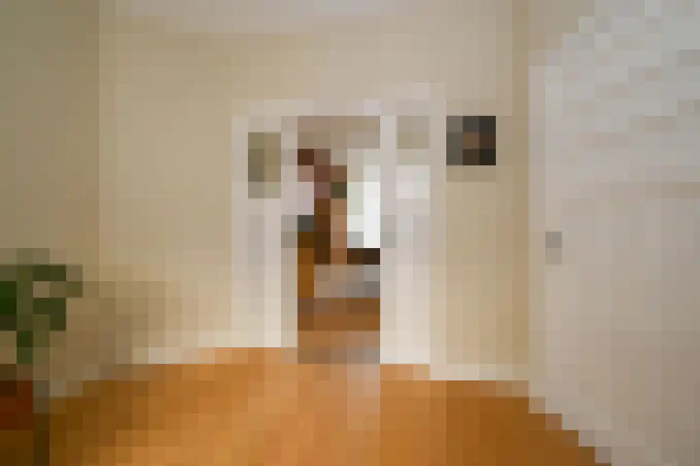 Lunterenstraat 147 Den Haag thumbnail 5