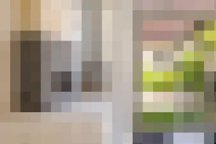 Lunterenstraat 152 Den Haag thumbnail 7