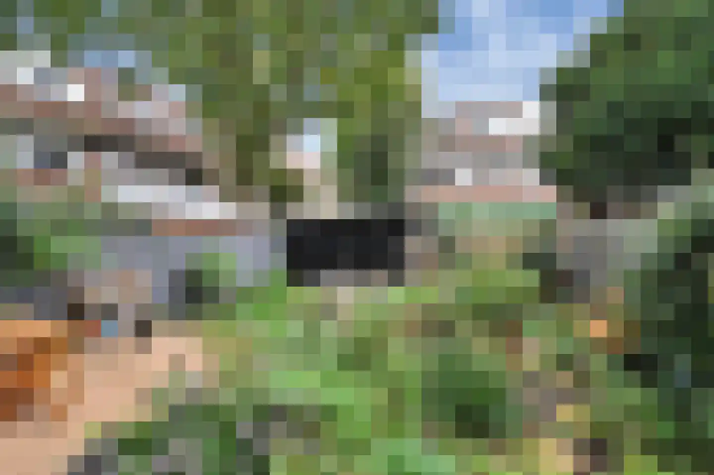 Lunterenstraat 186 Den Haag thumbnail 15