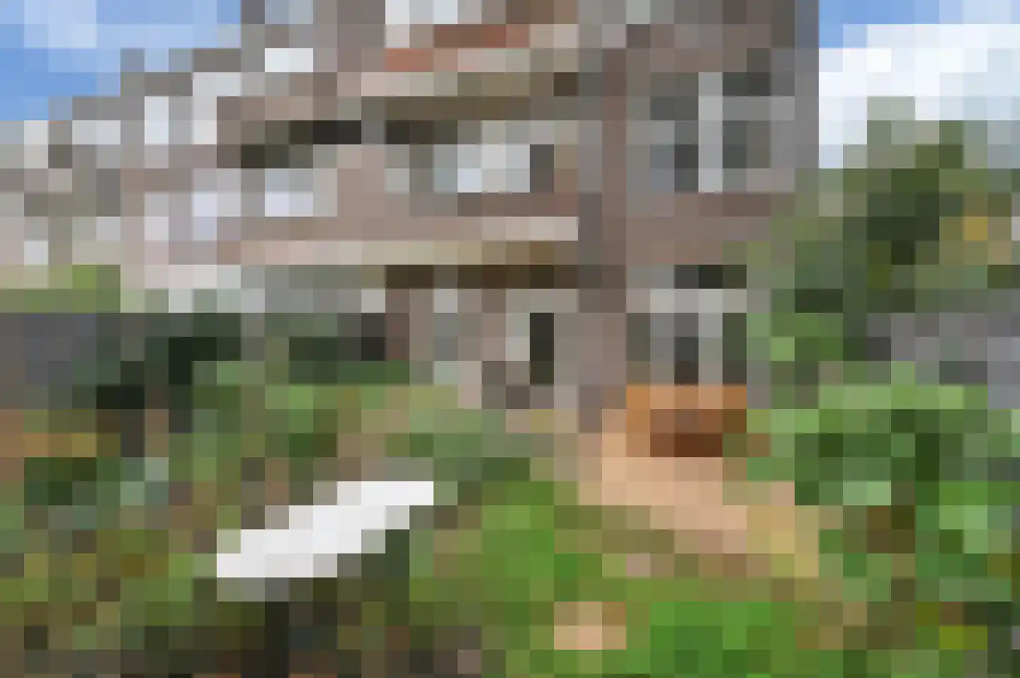 Lunterenstraat 186 Den Haag thumbnail 16