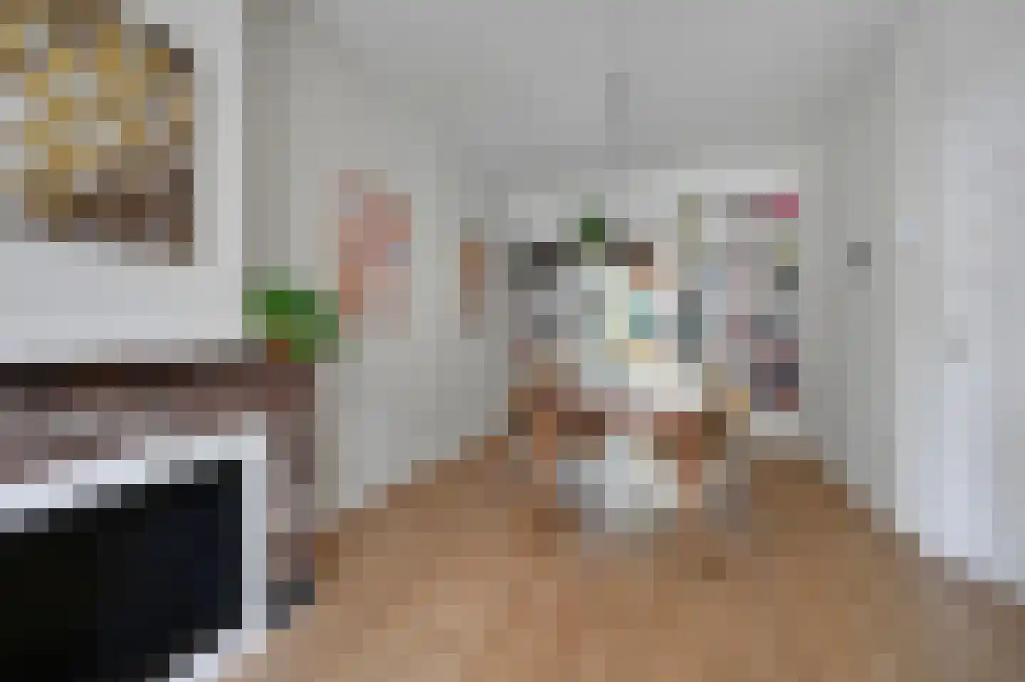 Lunterenstraat 186 Den Haag thumbnail 5