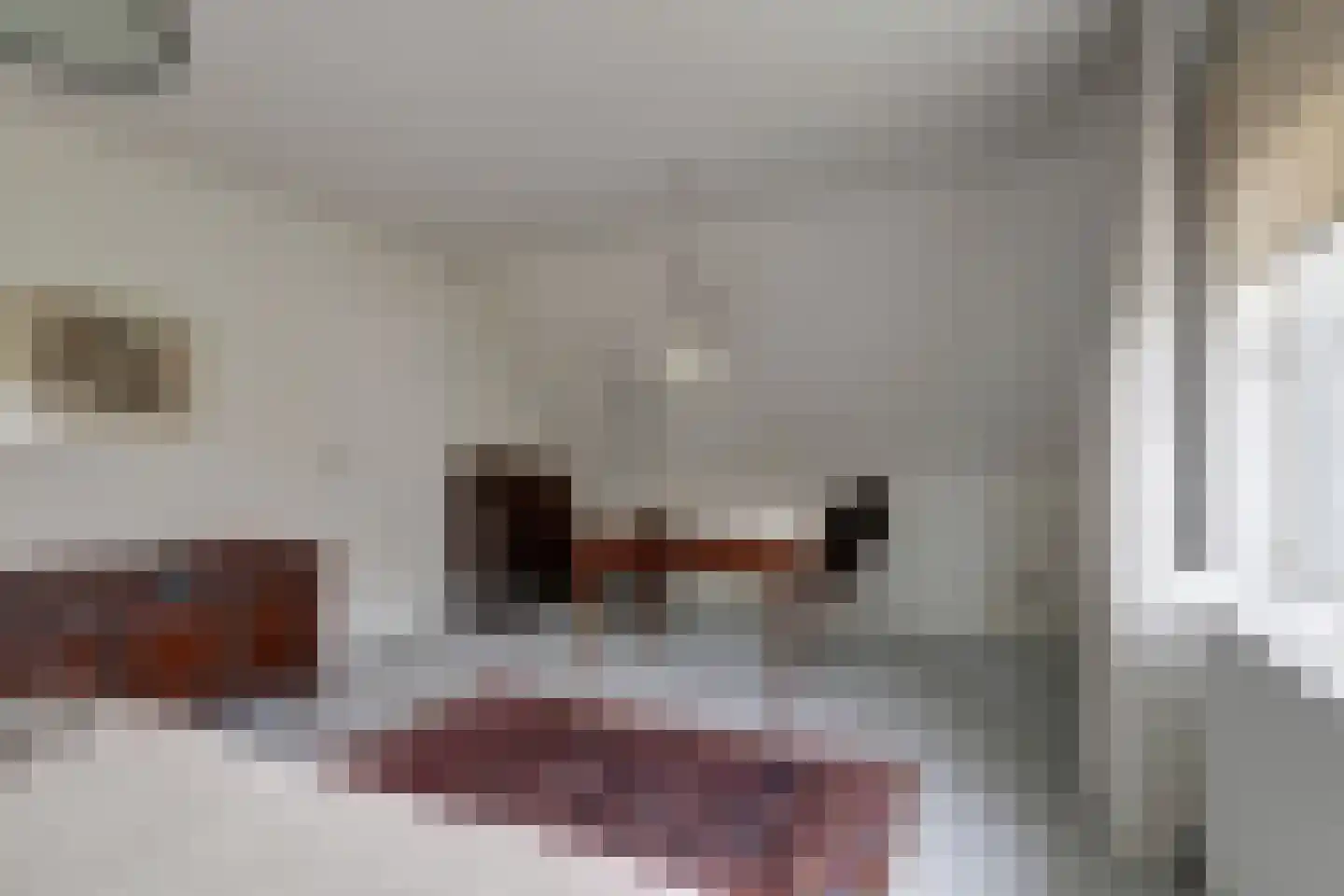 Lunterenstraat 22 Tilburg thumbnail 22