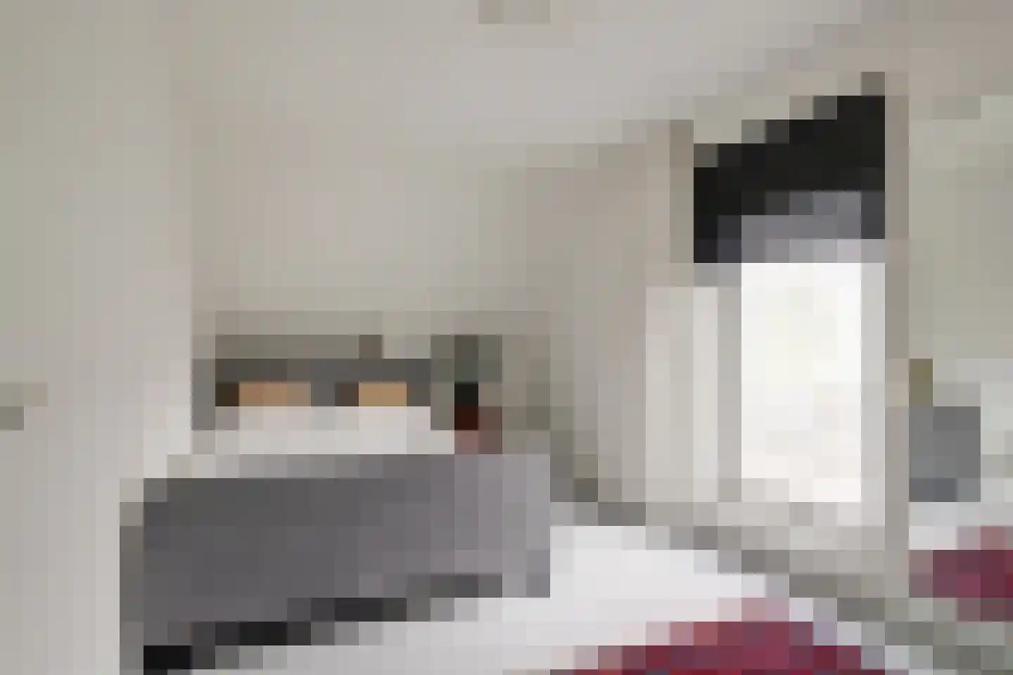 Lunterenstraat 22 Tilburg thumbnail 23