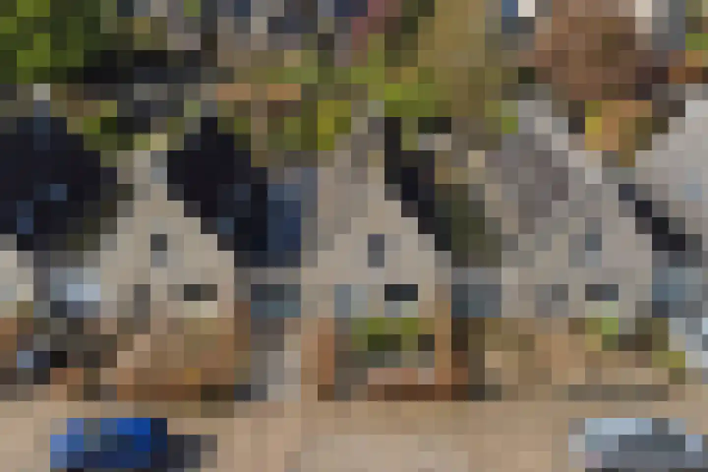 Lunterenstraat 22 Tilburg thumbnail 34