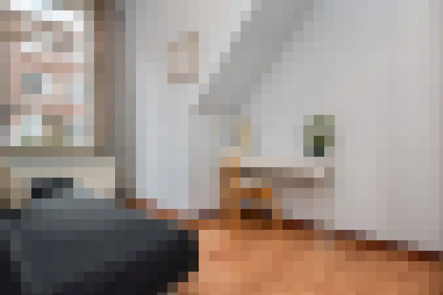 Lunterenstraat 220 Den Haag thumbnail 12