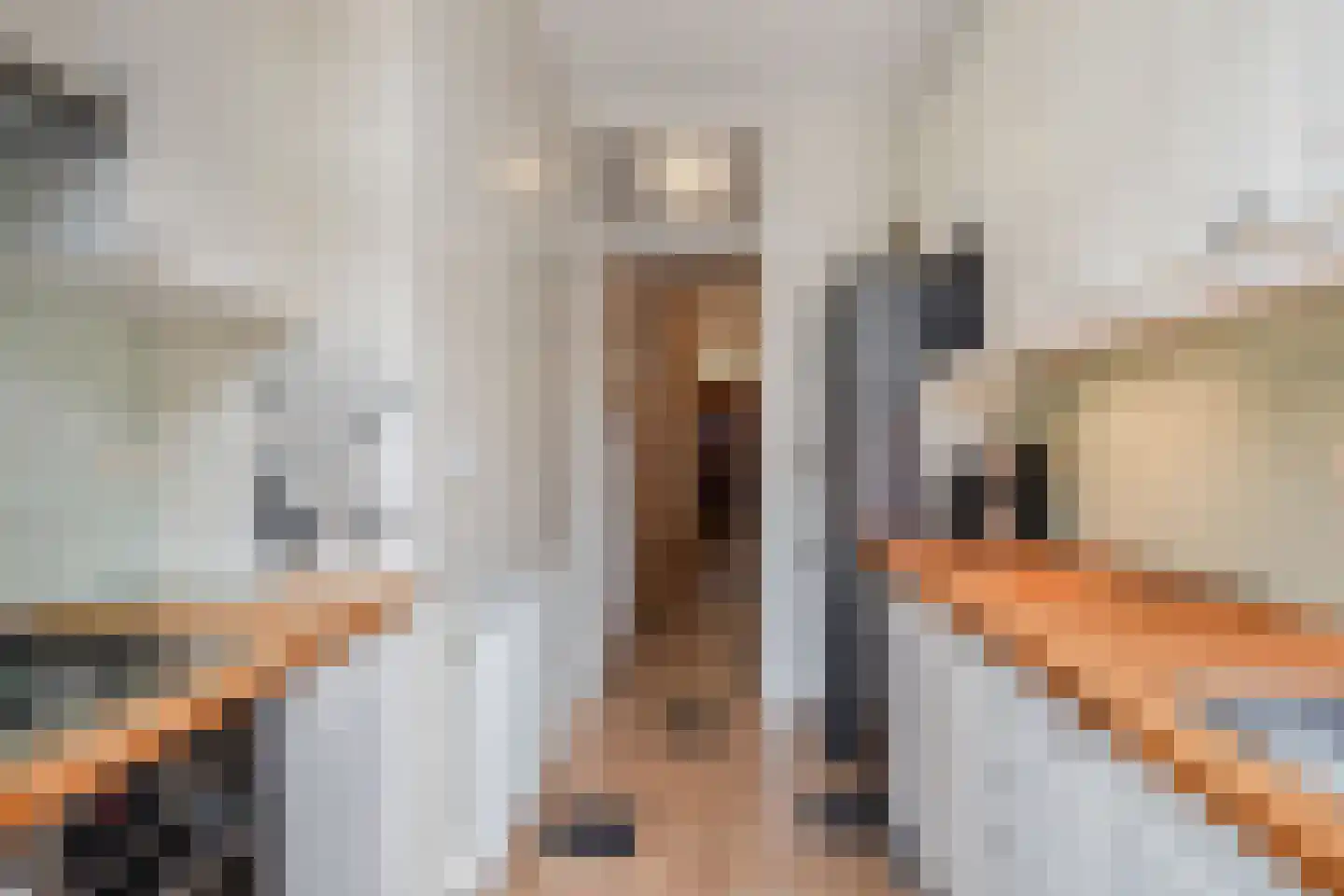 Lunterenstraat 220 Den Haag thumbnail 31