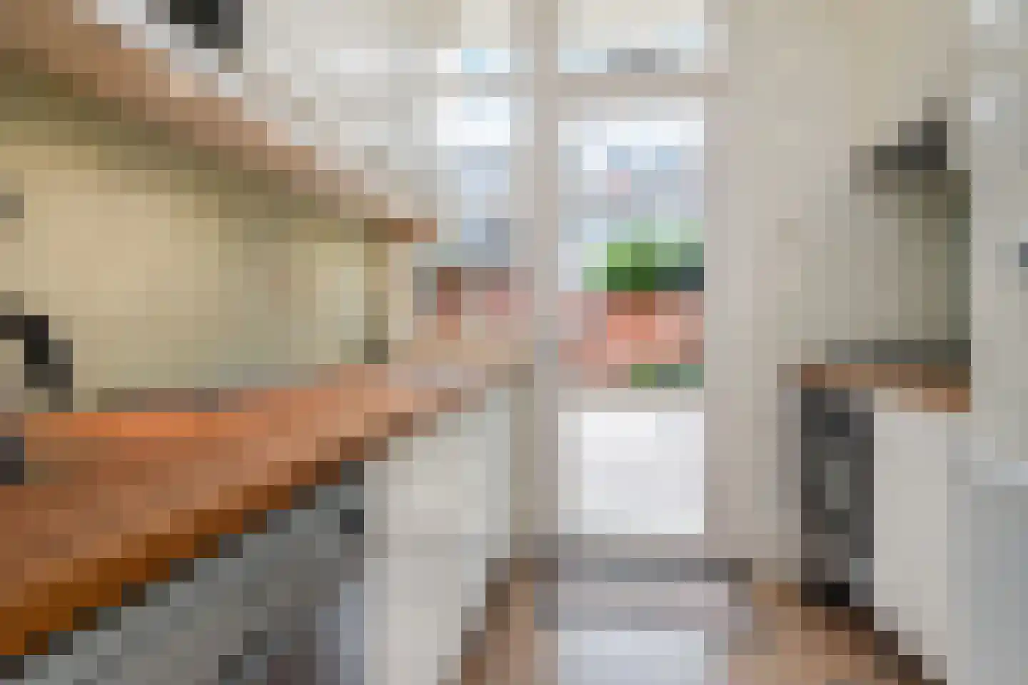 Lunterenstraat 220 Den Haag thumbnail 5