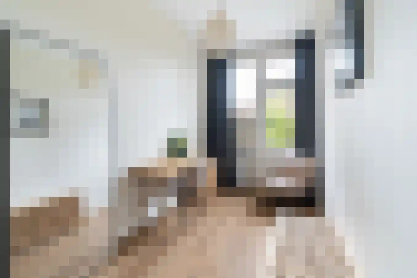 Lunterenstraat 251 Den Haag thumbnail 15