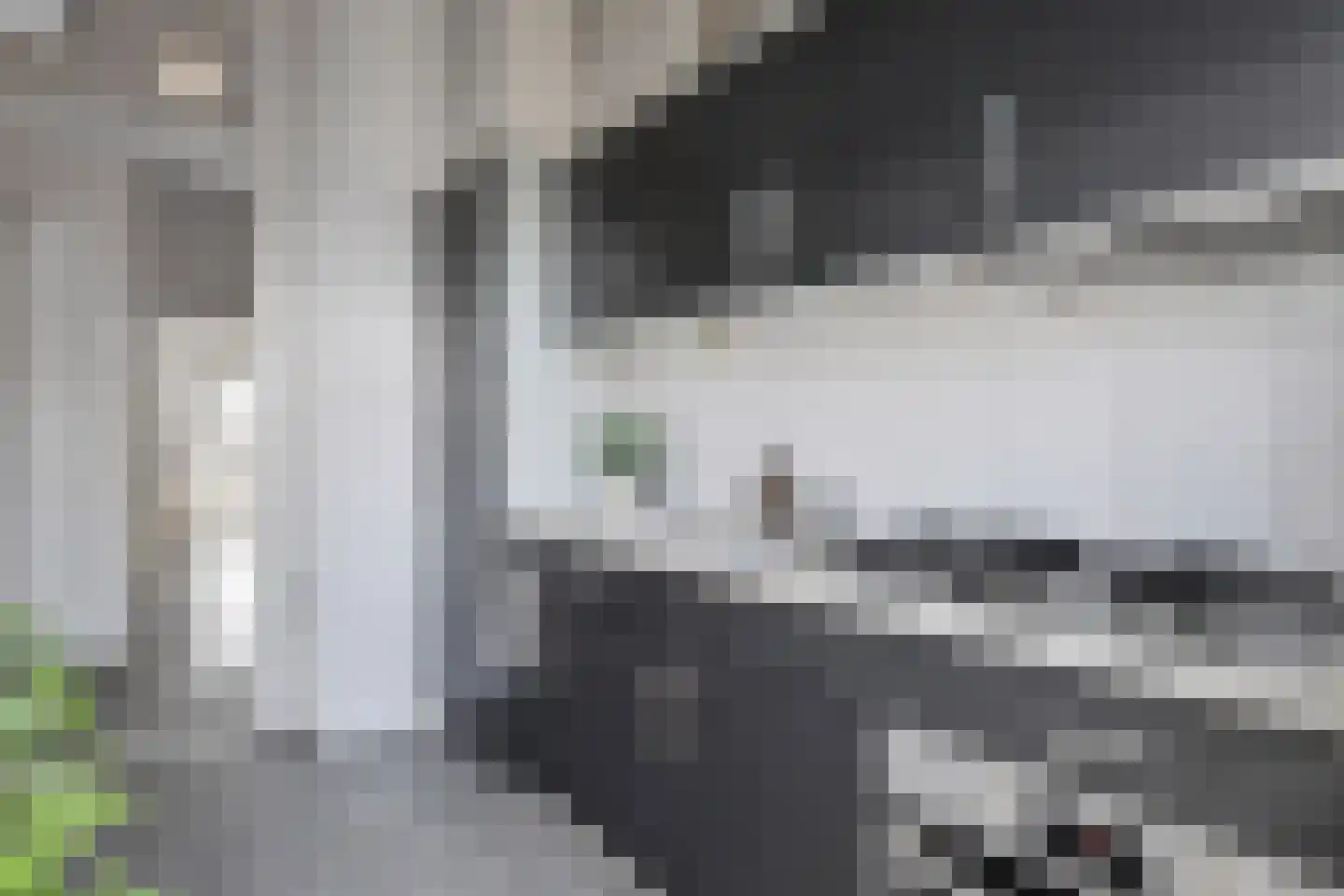 Lunterenstraat 4 Den Haag thumbnail 12