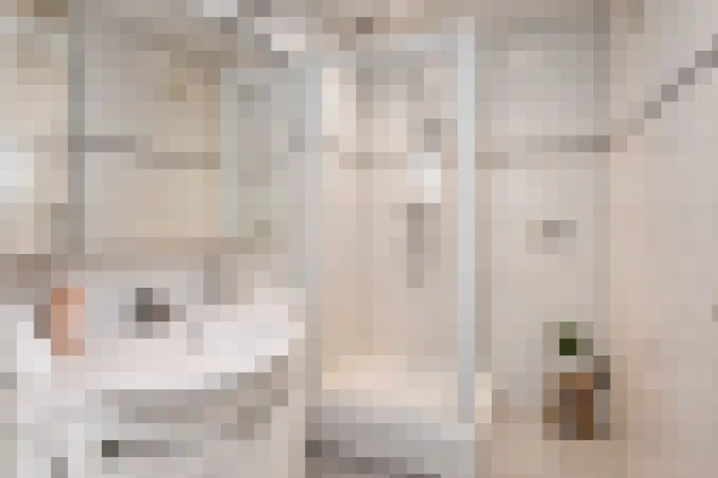Lunterenstraat 4 Den Haag thumbnail 17