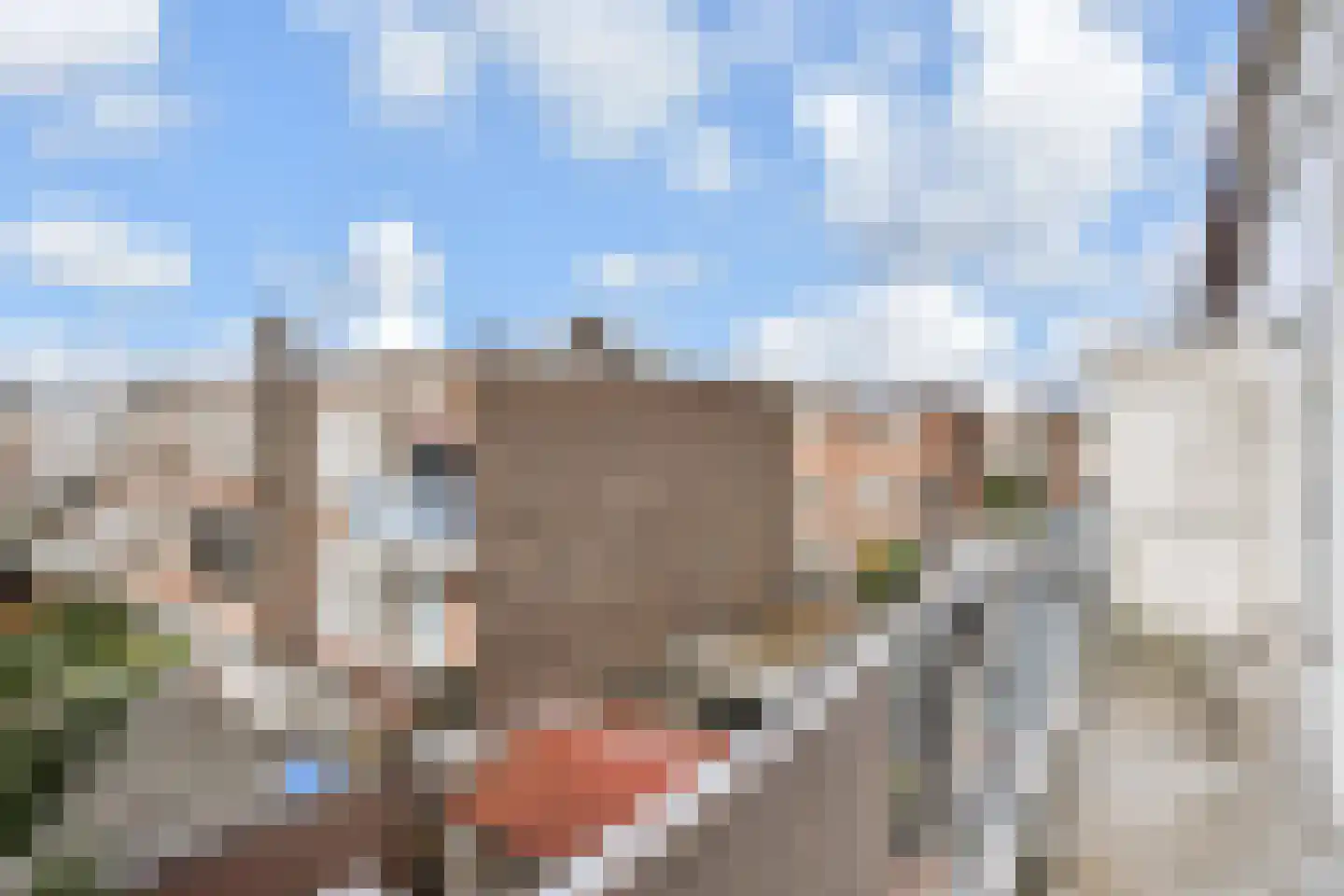 Lunterenstraat 4 Den Haag thumbnail 20