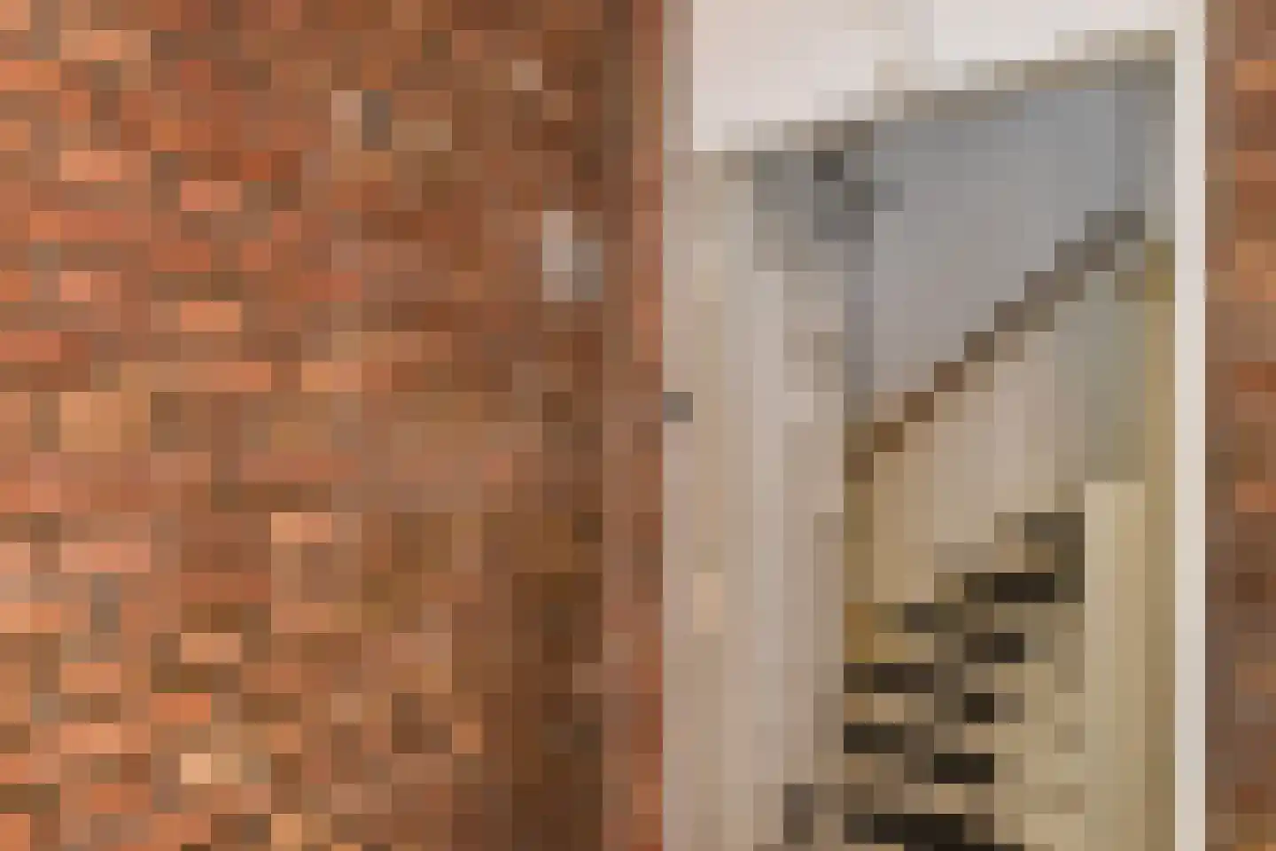 Lunterenstraat 4 Den Haag thumbnail 5
