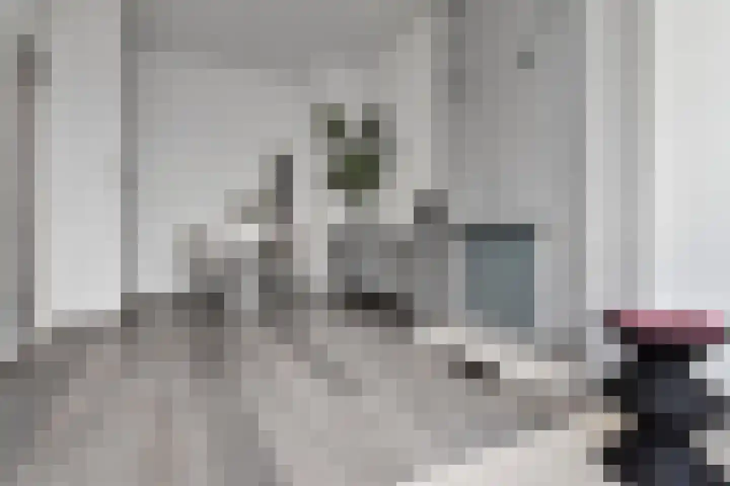 Lunterenstraat 4 Den Haag thumbnail 8