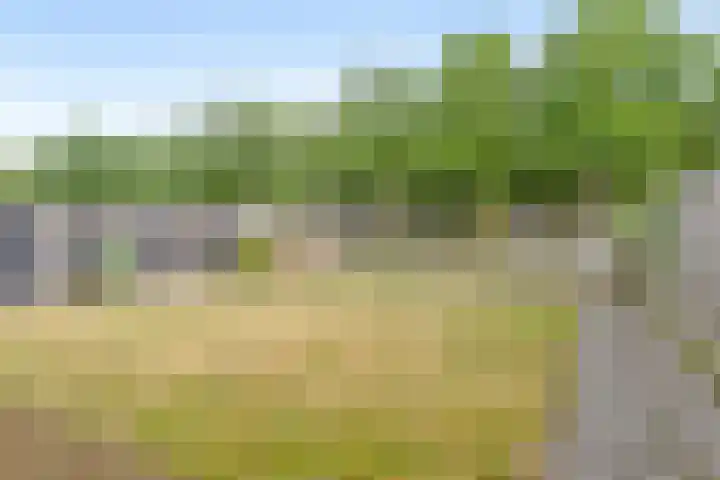 Lunterenstraat 57 Tilburg thumbnail 21