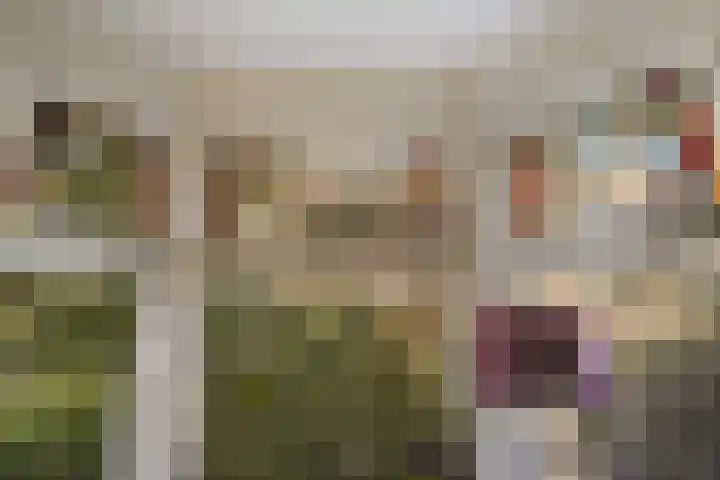 Lunterenstraat 64 Den Haag thumbnail 10