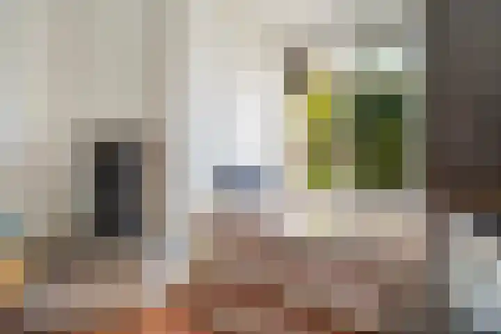 Lunterenstraat 64 Den Haag thumbnail 13
