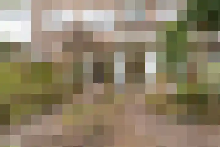 Lunterenstraat 64 Den Haag thumbnail 21