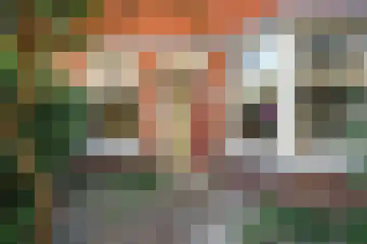 Lunterenstraat 64 Den Haag thumbnail 5
