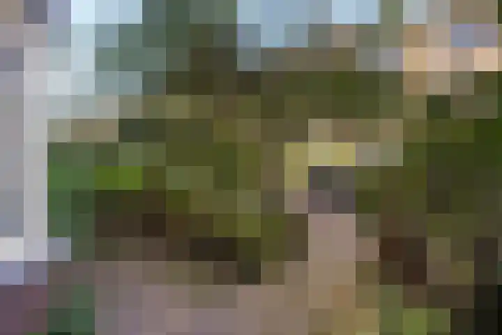 Lunterenstraat 64 Den Haag thumbnail 6