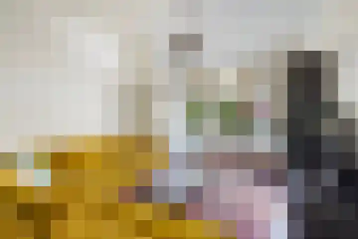 Lunterenstraat 64 Den Haag thumbnail 8