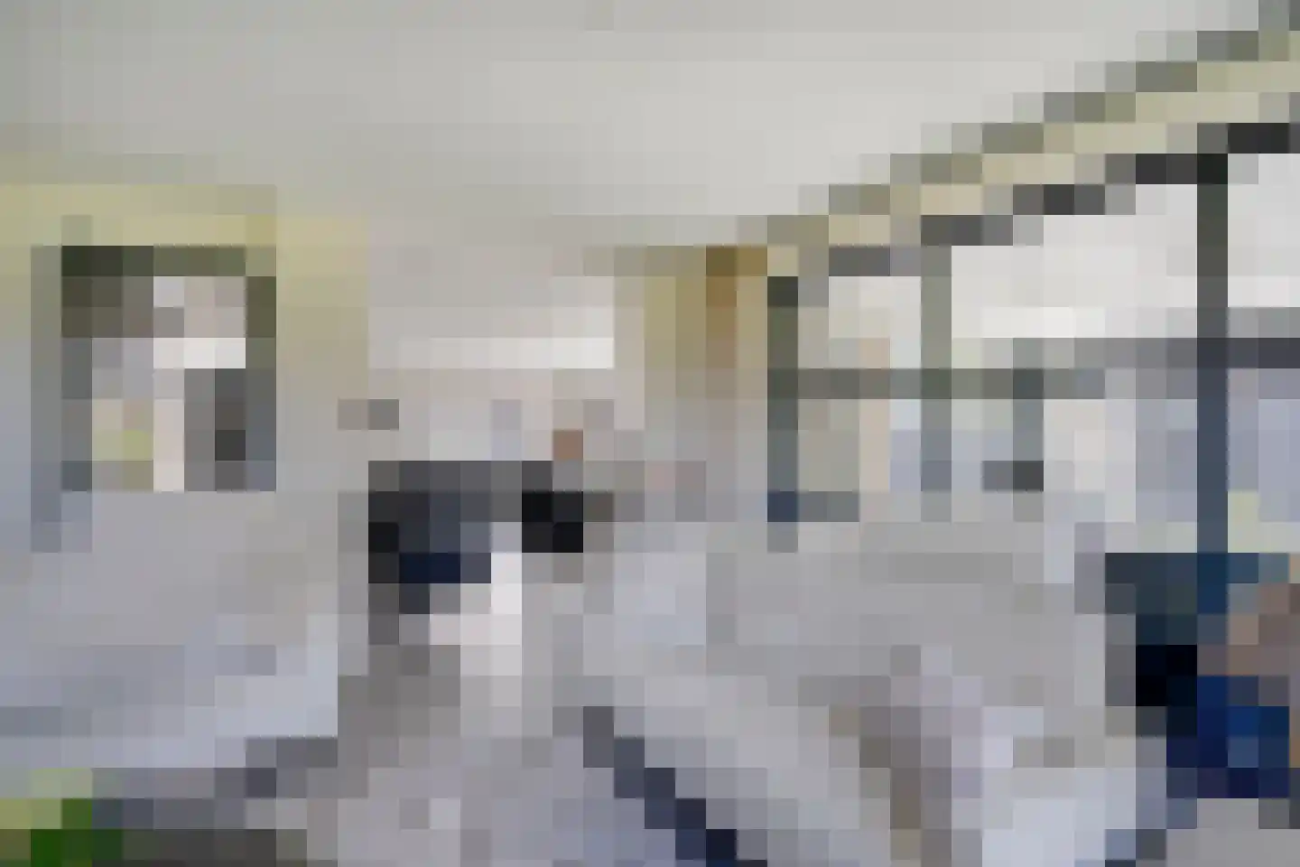 Lunterse Beekweg 42 Scherpenzeel thumbnail 11