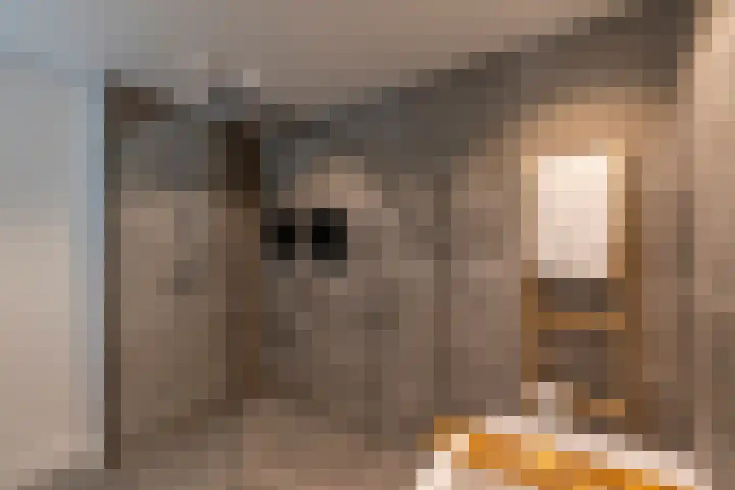 Lunterse Beekweg 42 Scherpenzeel thumbnail 19